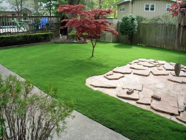 Artificial Grass Photos: Artificial Pet Turf Tehachapi California Landscape